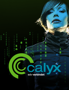 calyx.at